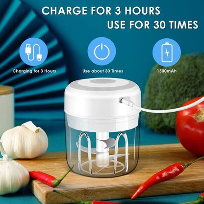 Electric Garlic Chopper, 250ML Portable Cordless Mini Food Processor, Rechargeable Vegetable Chopper Blender for Nuts Chili Onion Minced Meat and Spices Bpa-Free